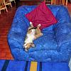 This is my chair, so stay away!